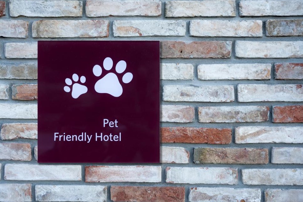 Helpful Tips for Pet-Friendly Hotel Stays