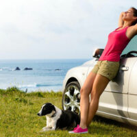 Tips For Traveling Safely With Pets